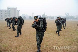 武警帅气视频动画片国产,武警风采，青春热血的视觉盛宴