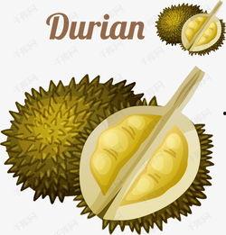 国产动画榴莲视频下载,国产动画的甜蜜诱惑，下载体验非凡魅力