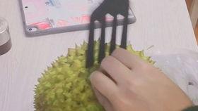 国产动画榴莲视频下载,国产动画的甜蜜诱惑，下载体验非凡魅力