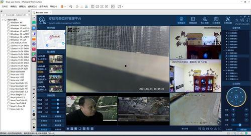 国产系统视频播放插件,创新与突破的视听盛宴
