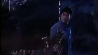 国产老电影飞虎爪视频,传奇特工的惊险征程