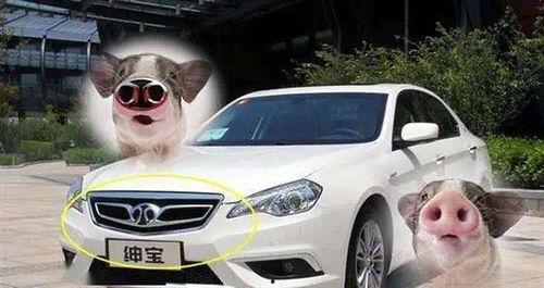 吐槽国产汽车道歉视频,反思与改进之路