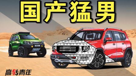 国产车集合视频大全下载,视频大全下载，尽览民族汽车工业新篇章