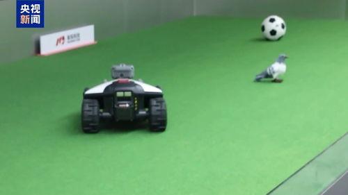 国产机器人视频